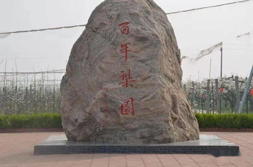 7月1日起,这类车停产 禁售 夏季纳凉好去处 衡水两条线路被省里推荐